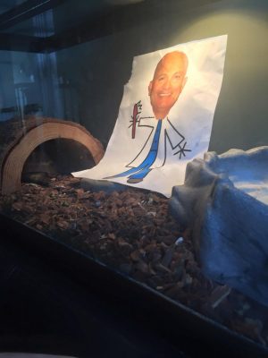 Patient Support to dr Patient Support to dr